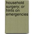 Household Surgery; Or Hints On Emergencies