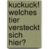 Kuckuck! Welches Tier versteckt sich hier?