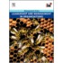 Leadership And Management In Organisations