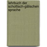Lehrbuch der schottisch-gälischen Sprache door Michael Klevenhaus