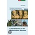 Luftschlösser in der Sächsischen Schweiz