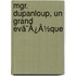 Mgr. Dupanloup, Un Grand Evã¯Â¿Â½Que