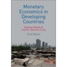Monetary Economics in Developing Countries door Subrata Ghatak