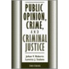 Public Opinion, Crime And Criminal Justice by Loretta Stalans