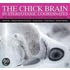 The Chick Brain in Stereotaxic Coordinates