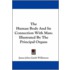 The Human Body and Its Connection with Man