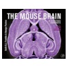 The Mouse Brain In Stereotaxic Coordinates door Keith Franklin