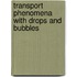 Transport Phenomena With Drops And Bubbles