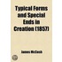 Typical Forms and Special Ends in Creation