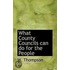 What County Councils Can Do For The People