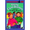 Young Cam Jansen And The Ice Skate Mystery door David A. Adler