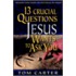 13 Crucial Questions Jesus Wants to Ask You