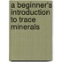 A Beginner's Introduction To Trace Minerals