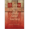 A Concise Guide To Catholic Social Teaching door Kevin E. McKenna