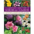 A Gardener's Directory of Shrubs & Climbers