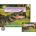 Alligator at Saw Grass Road [With Cassette]