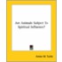 Are Animals Subject To Spiritual Influence?