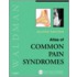 Atlas Of Common Pain Syndromes [with Cdrom]