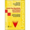 Calabi-Yau Manifolds and Related Geometries door Gerhard D. Winkler