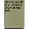 Developments in Customary International Law door Birgit Schlutter