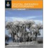 Digital Infrared Photography Photo Workshop