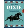 Dixie - Neue Abenteuer mit dem Westernpferd door Gisela Kautz