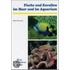 Fische und Korallen im Meer und im Aquarium