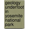 Geology Underfoot in Yosemite National Park by Greg Stock