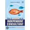 How To Succeed As An Independent Consultant by Timothy R.V. Foster