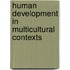 Human Development In Multicultural Contexts