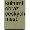 Kulturní Obraz Ceských Mest: door Zikmund Winter