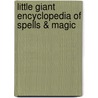 Little Giant Encyclopedia of Spells & Magic by The Diagram Group