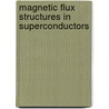 Magnetic Flux Structures in Superconductors door Rudolf P. Hubener