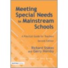 Meeting Special Needs in Mainstream Schools by Stakes Richard