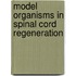 Model Organisms In Spinal Cord Regeneration