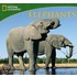 National Geographic Elephants 2011 Calendar
