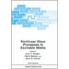 Nonlinear Wave Processes in Excitable Media door Arunn V. Holden