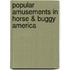 Popular Amusements In Horse & Buggy America