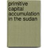 Primitive Capital Accumulation in the Sudan