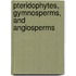 Pteridophytes, Gymnosperms, and Angiosperms