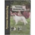 Pyrenean Mountain Dog (Berger Des Pyrenees)