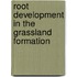 Root Development In The Grassland Formation