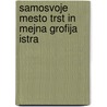 Samosvoje Mesto Trst in Mejna Grofija Istra door Simon Rutar