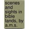 Scenes and Sights in Bible Lands, by A.M.S. door Onbekend