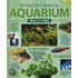 Setting Up A Tropical Aquarium Week-By-Week
