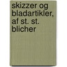 Skizzer Og Bladartikler, Af St. St. Blicher door Steen Steensen Blicher
