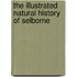 The Illustrated Natural History Of Selborne