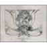 The Illustrations for Dante's Divine Comedy