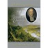 The Princeton Companion to Jonathan Edwards