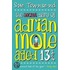 The Secret Diary Of Adrian Mole Aged 13 3/4